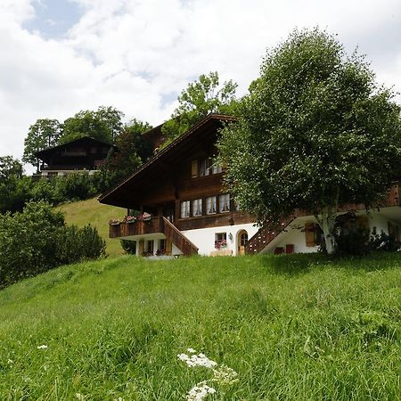 Chalet Unter Dem Stein Grindelwald Luaran gambar