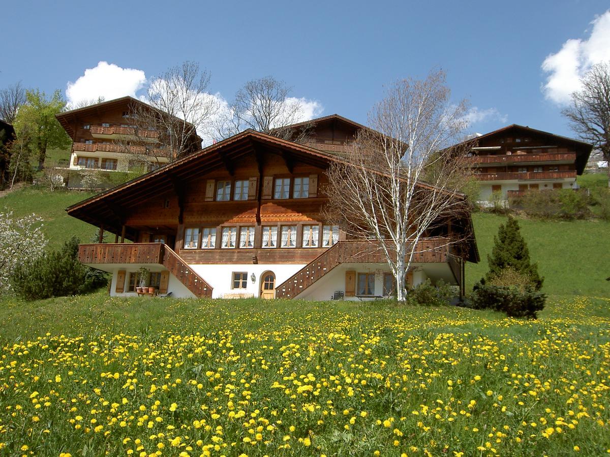 Chalet Unter Dem Stein Grindelwald Luaran gambar
