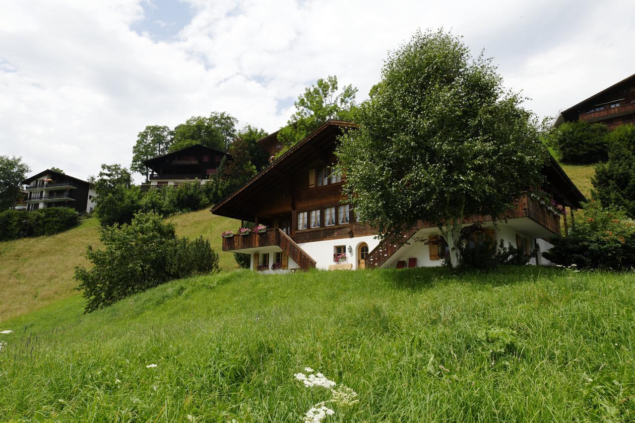 Chalet Unter Dem Stein Grindelwald Luaran gambar
